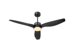 Fan lights