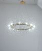 Modern American round crystal chandelier -12 bulbs