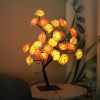 Best-selling Detachable Plastic Base USB Switch LED Simulation Rose Tree Lamp Home Decoration Night Light